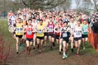 Senior mens 2016 Inter Counties Cross Country Champs. and Cross Challenge Final, Cofton Park, Birmingham. Photo: David T. Hewitson/Sports for All Pics